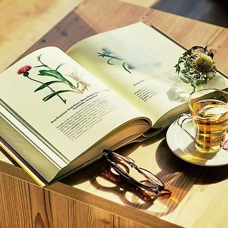 Venetblick 제르젠스